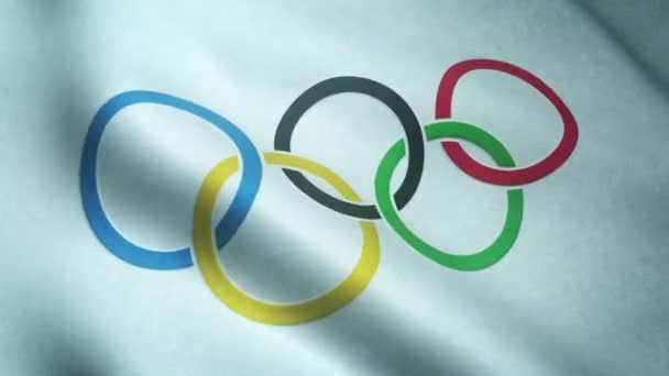 Realistic Flag Olympic Committee Waving Highly Detailed Fabric Texture — 图库视频影像