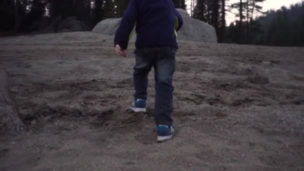 Young Boy Runs Rocky Sandy Hill Evergreen Forest Shaver Lake — Vídeo de Stock