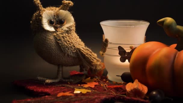 Halloween Autumn Decoration Pumpkin Cute Owl Light Leaves Orange Colors — 图库视频影像