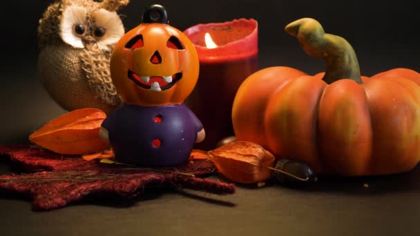 Halloween Autumn Decoration Illuminated Pumpkin Figure Head Pumpkin Cute Owl — Stock videók