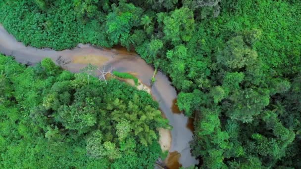 Drone Flying Rainforest River — Αρχείο Βίντεο