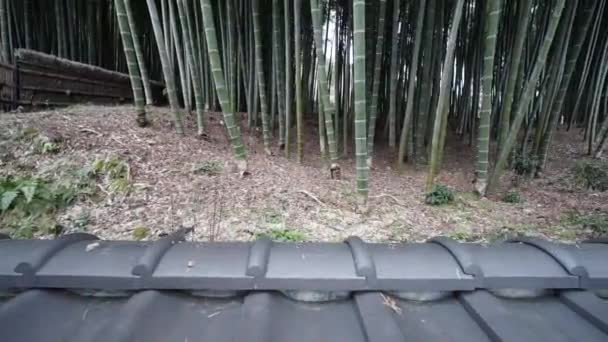 Left Right Pan Bamboo Forest Shingles Foreground — Vídeo de Stock