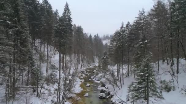 Aerial View Mostnica Gorge Winter Season Covered Snow — Stock Video