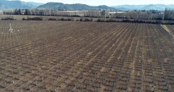 Drone Footage 60Fps Shot Chile Smooth Shoot Going Crops — Vídeos de Stock