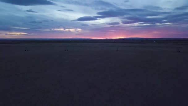 Drone Flying Field Southern Colorado Late Evening — Video Stock