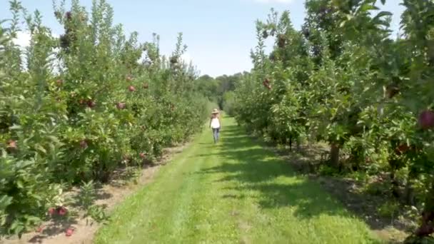 Wide Shot Woman Walking Orchard — Stockvideo