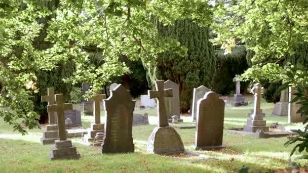 Static Shot Graveyard Lit Brightly Sunlight Giving Positive Feeling — Stockvideo