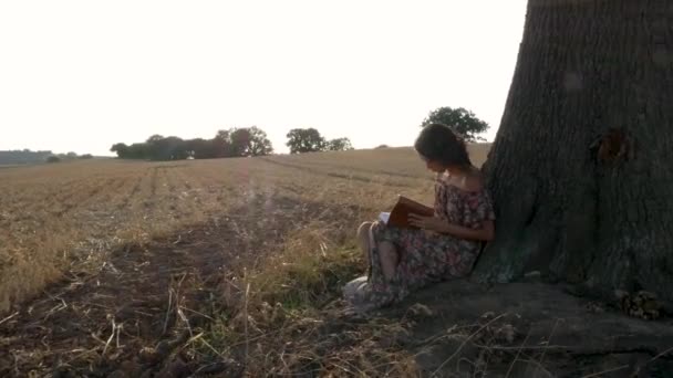 Жесткий Снимок Молодой Женщины Прислонившейся Дереву Читающей Закате Солнца — стоковое видео