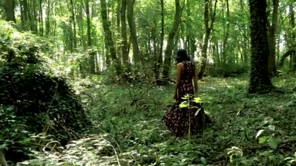 Νέα Μοντέρνα Γυναίκα Μακρύ Φόρεμα Στροβιλίζεται Στη Μέση Ενός Δάσους — Αρχείο Βίντεο