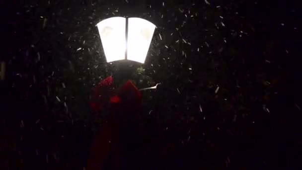 Snow Falling Beautiful Old Street Lamp Winter Night — Stock video