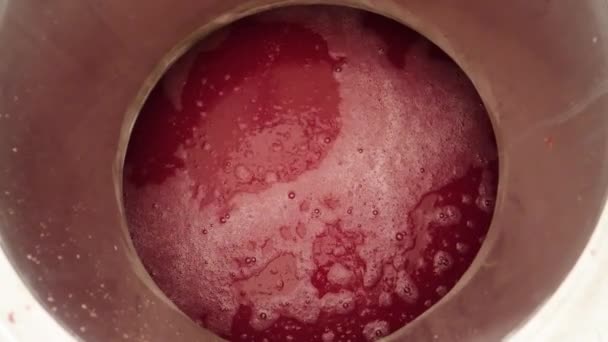 Looking Vat Red Wine Wine Factory Preparation Bottling — Stok video