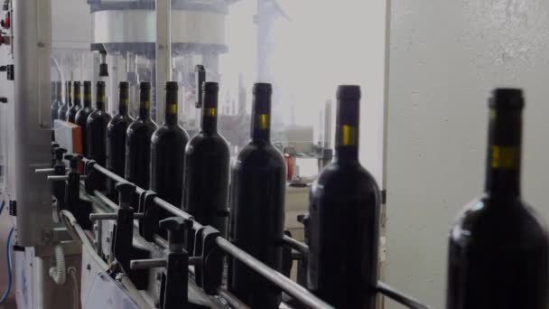 Liquor Bottles Flow Conveyor Belt Corked Labelled Ready Packaging Wine — Video