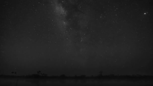 Milky Way Time Lapse Night Lake Silhouette Trees — 图库视频影像