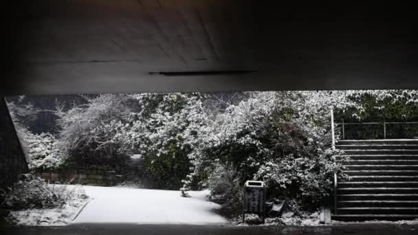Μια Σήραγγα Στο Άμστερνταμ Βαρύ Χιόνι Μια Κυκλοθυμική Ατμόσφαιρα Μια — Αρχείο Βίντεο