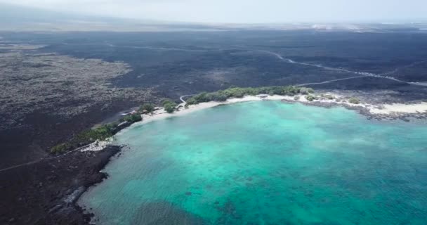 Black Sand Complimented Turquoise Water Hawaii — Stok video