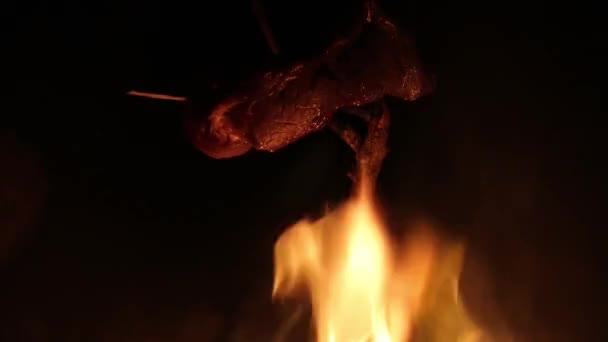 Piece Raw Fresh Meat Cooked Stick Campfire Night Time — Stock video
