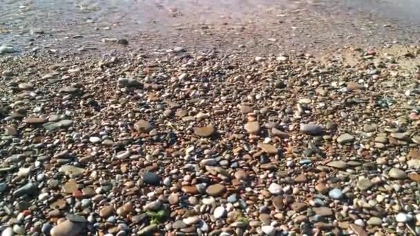 Tide Washing Pebbles Sand — Vídeo de stock