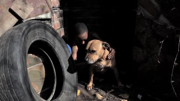 Homeless Child Hugs His Dog Comfort — 图库视频影像