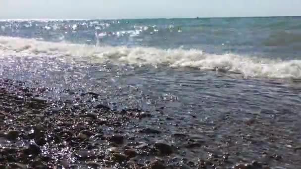 Waves Crash Lake Pebble Beach — Vídeo de stock