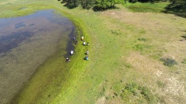 Aerial Footage Small Group Refugees Slowly Wading Pond — Stockvideo