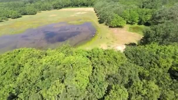 Aerial Footage Forest Pond Small Group Refugees — Vídeo de Stock