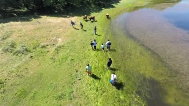 Aerial Footage Small Group Refugees Rural Setting Cows — Video Stock