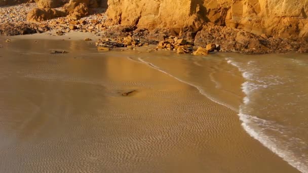 Close Incoming Tide Rushing Beach Walkerville Victoria Australia Glow Sunset — Stockvideo