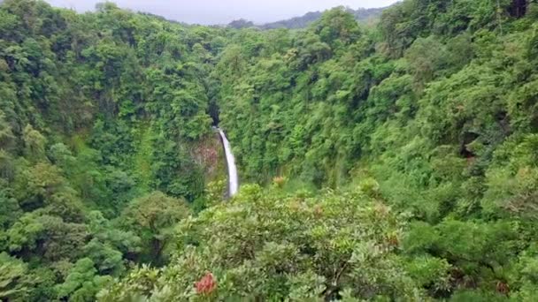 Flying Costa Rica Rainforest Fortuna Waterfall Background — ストック動画