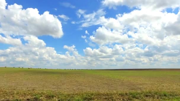 Hay Bales Far Eye Can See Big Texas Sky Farmers — Stock Video