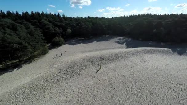 Aerial Footage People Sand Hill — Stok video