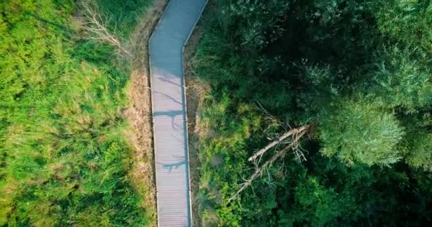 Aerial Footage Boardwalk Running Wetlands — Stockvideo