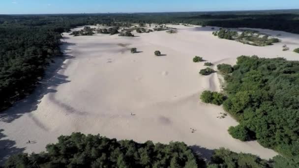 Drone Footage Flying Away Sand Dunes Revealing Forest — Stockvideo