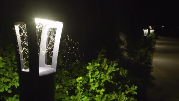 Small Pathway Lamp Covered Spider Webs Bugs — Stock video