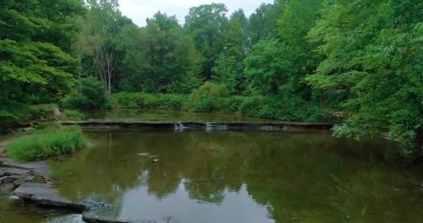 Aerial Shot Five Small Waterfalls Trickling Creek Flowing Forest — Stock video