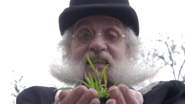 Older Man Beard Looking Fresh Grass Growing His Hands — Wideo stockowe