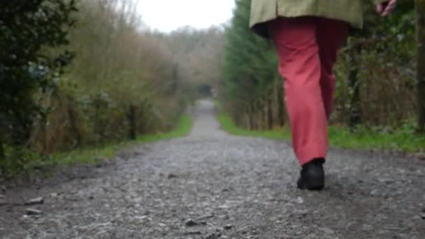 Older Man Beard Walking Stone Path — Vídeos de Stock