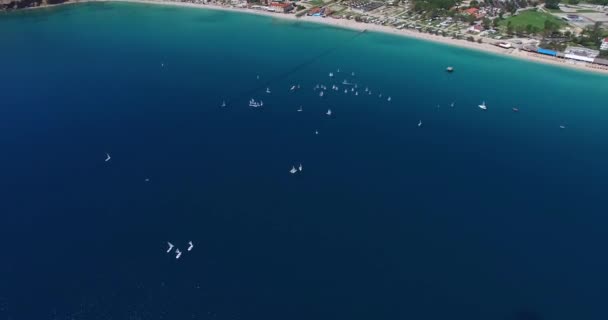 Aerial View Small Regata Adriatic Sea Krk Croatia — 图库视频影像