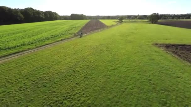 Aerial Footage Couple Walking Green Fields — Stockvideo