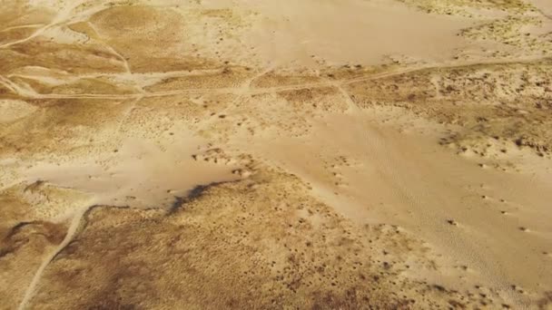 Aerial Revealing Line Green Pine Forest Sandy Dead Dunes — Vídeos de Stock