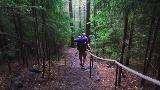 Hiker Walking Path Forest Some Man Made Railing Side — Vídeos de Stock