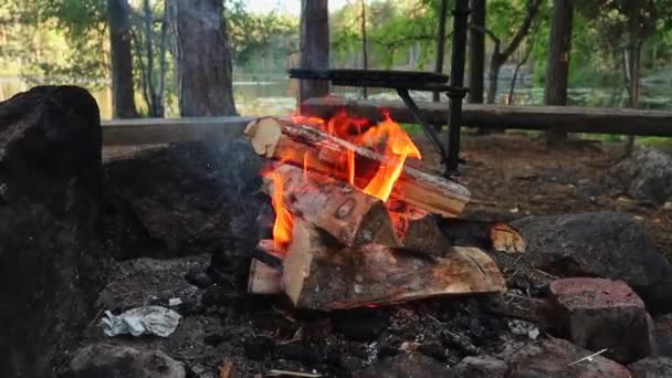 Small Fire Made Wood Starting Burn Slowly Rock Firepit Nuuksio — Stok video