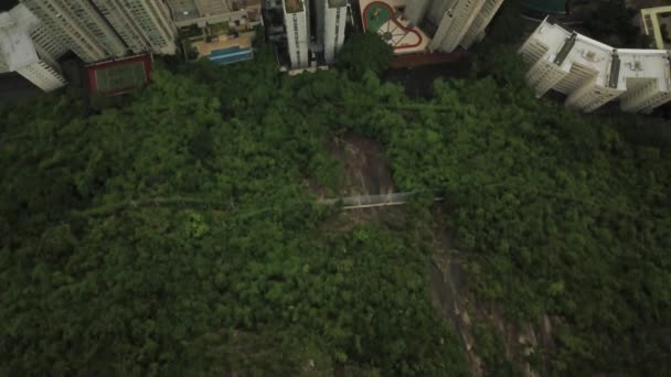 Nakloňte Letecký Pohled Město Hongkong Odhalující Přístav — Stock video