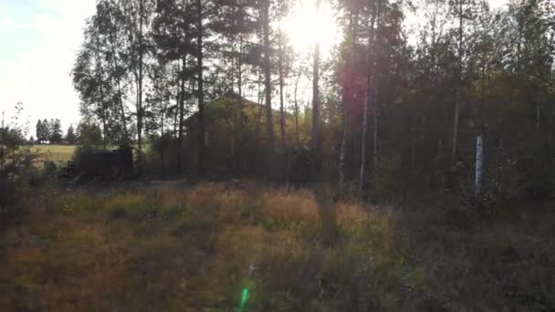 Closing Abandoned House Forest — Wideo stockowe