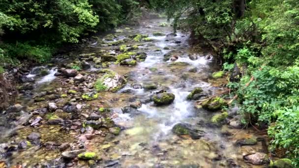 Water Flowing Mountain Stream Stones National Park Taken Tatra Mountains — Stockvideo