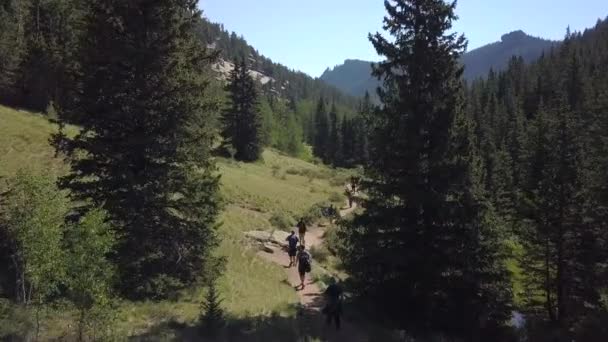 Groups Hikers Hiking Trail Colorado Valley Forward Drone Movement — Vídeos de Stock
