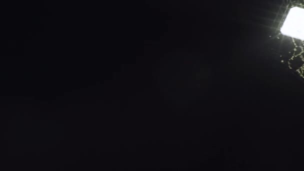 Світлодіодне Вуличне Світло Вкрите Павутиною Над Автобусним Притулком — стокове відео