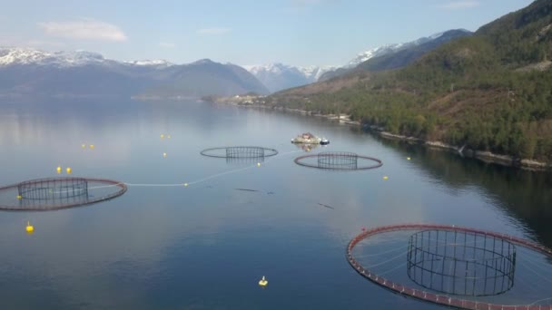 Flying Fishing Nets Set Next Floating House Fjord Norway — Stockvideo