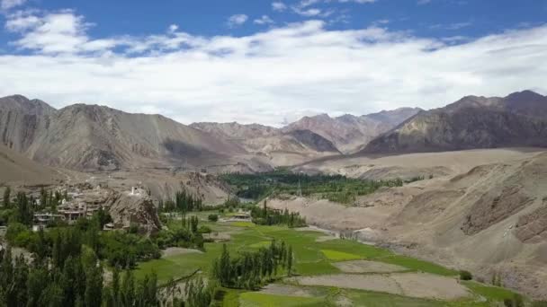 Stunning Landscape Ladakh India Aerial View Lush Farms Himalayan Peaks — Video Stock
