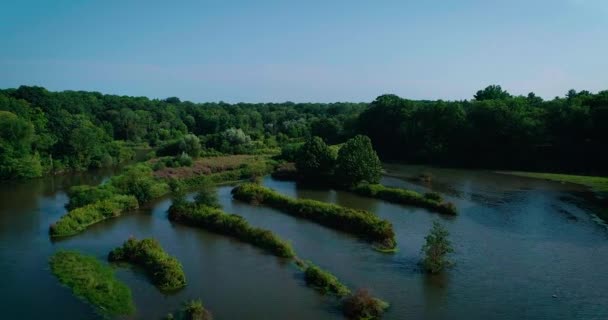Aerial Footage Wetland River Flows — Stock Video