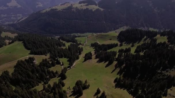 Aerial Landscape Flight Forest Mountain Switzerland — Vídeo de Stock